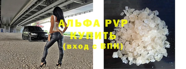 крисы Алзамай