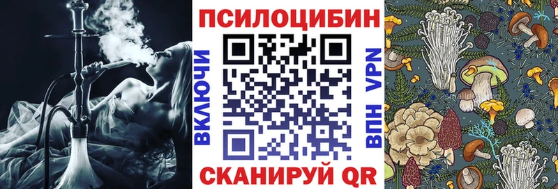 ОМГ ОМГ зеркало  Чишмы  Галлюциногенные грибы GOLDEN TEACHER 